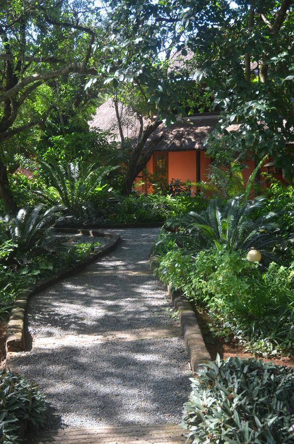 Bushbaby Lodge & Camping Hluhluwe Eksteriør bilde