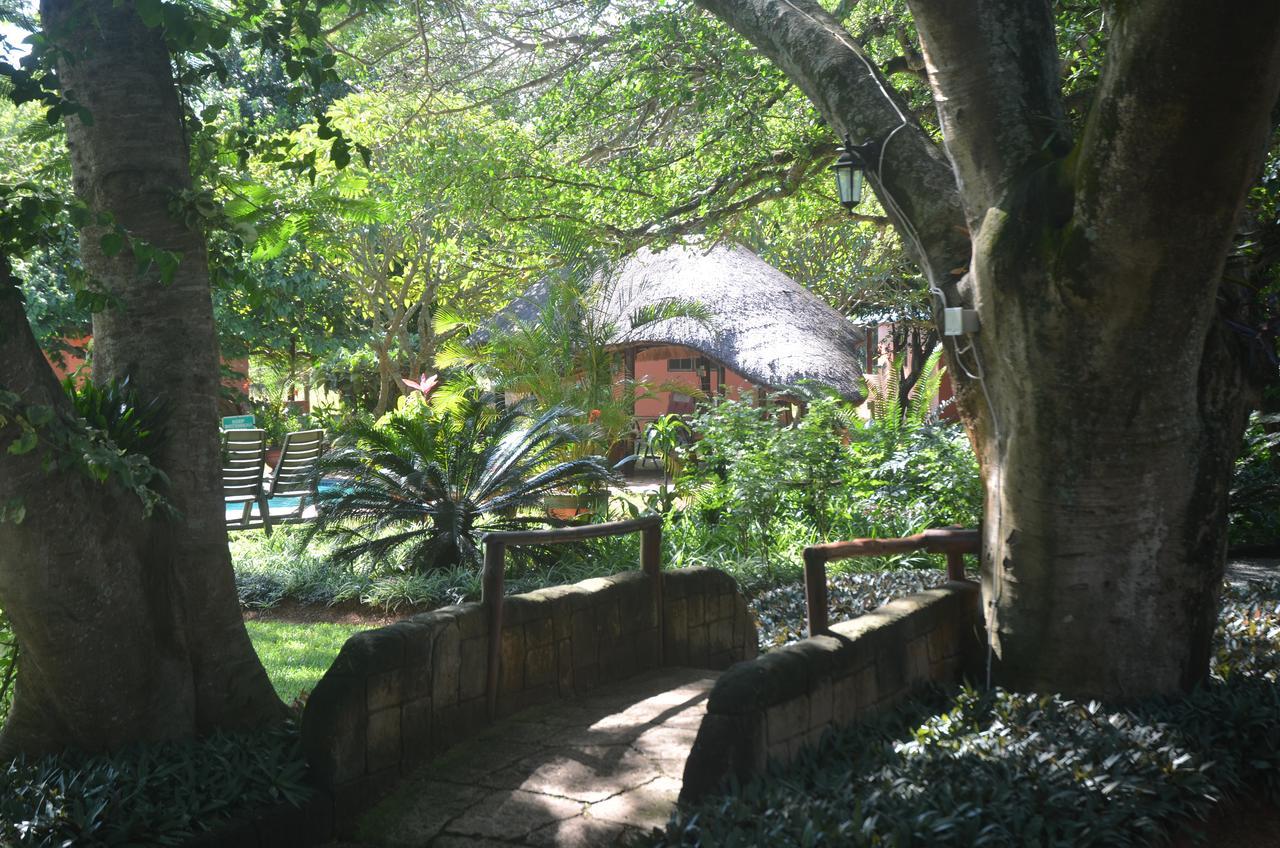 Bushbaby Lodge & Camping Hluhluwe Eksteriør bilde