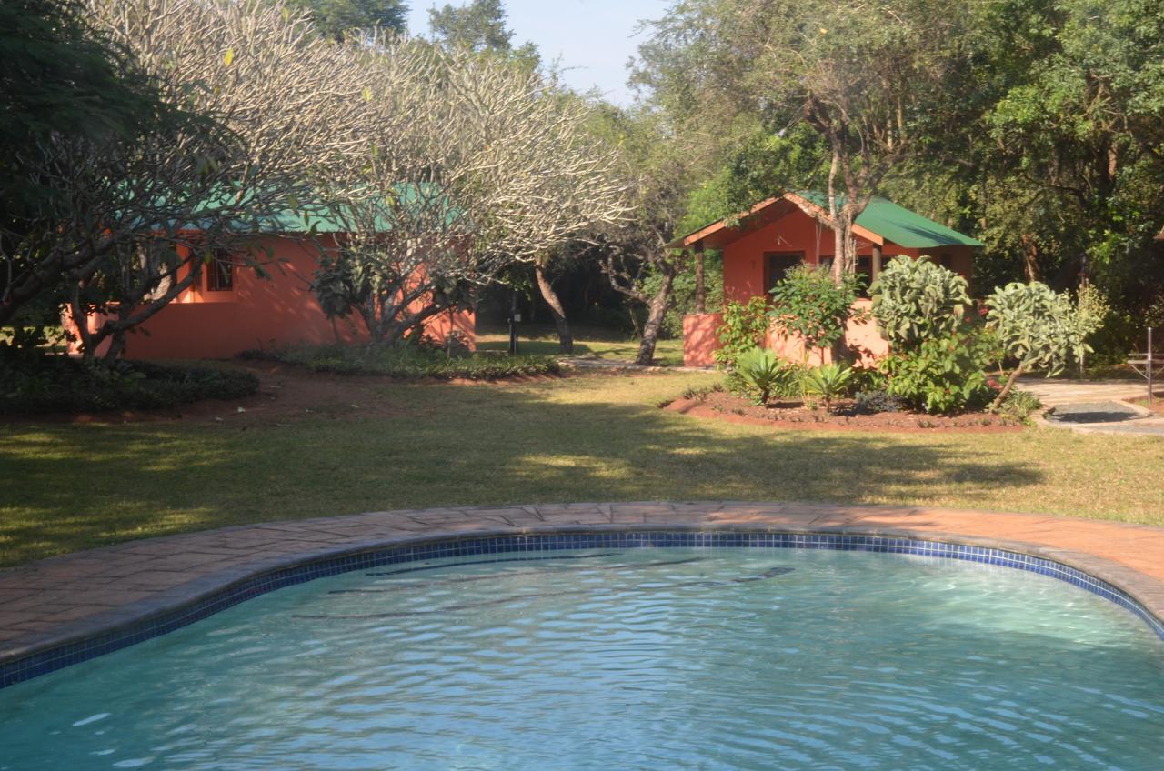 Bushbaby Lodge & Camping Hluhluwe Eksteriør bilde